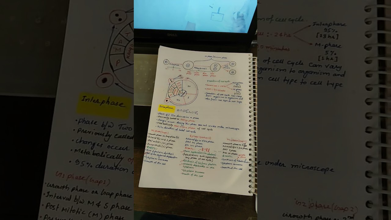 study motivation  cell biology/cell cycle /ncert  biology handwritten notes 