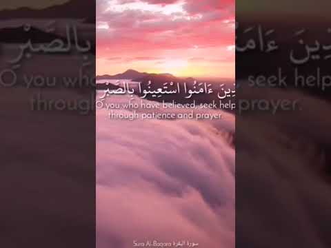 الحمدلله على نعمة الإسلام كارولين   ترند