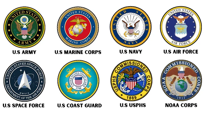 Every 8 US Military Branch Explained in 4 minutes