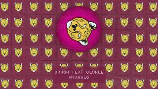 Drush feat  Oluhle - Nyakalo (Abracadabra) Resimi