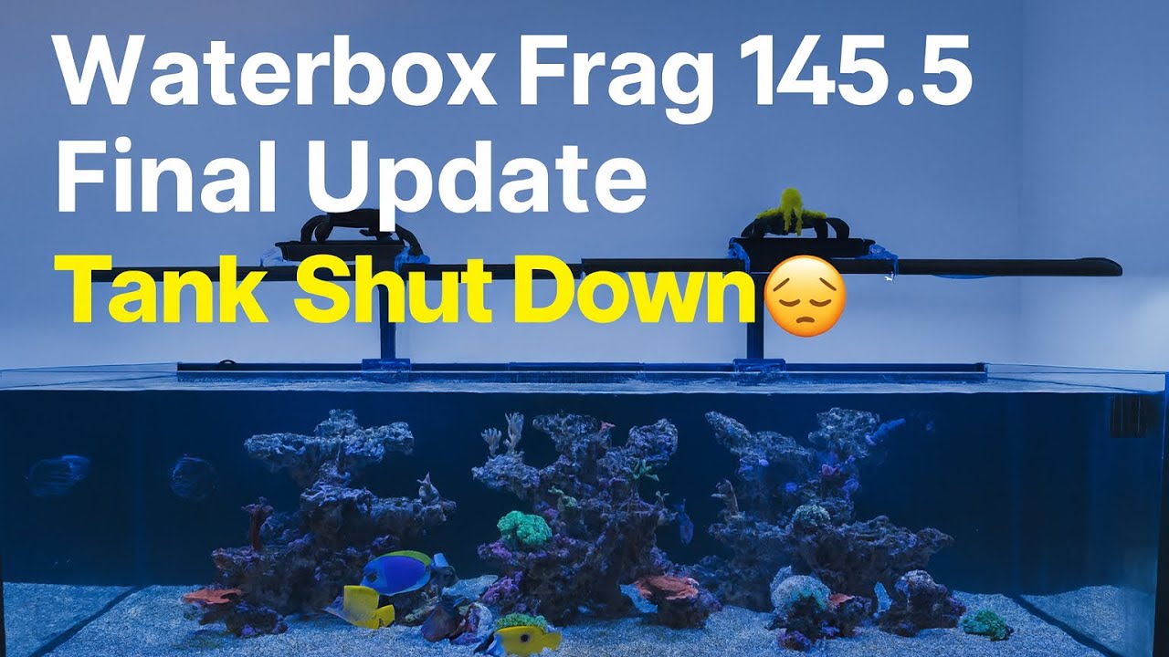 Завершаю работу над моим рифом — последнее и окончательное обновление моего Waterbox Frag 145.5