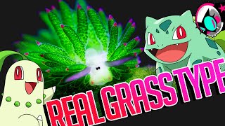 This Creature Makes Grass Type Pokémon Possible! | Gnoggin