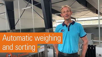 Barn for 6,000 finishing pigs | TriSort sorting scale