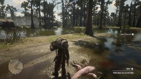 Red Dead Redemption 2 "Daily Collectibles Looted From Non Players" Fast/Easy