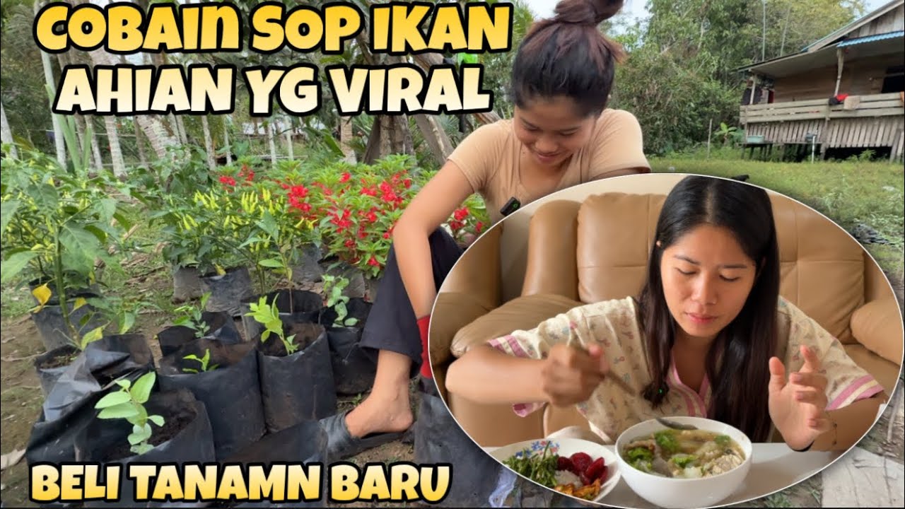 CUBAIN SOP IKAN AHIAN  DI PONTIANAK DAN TANAM TANAMAN YG BARU AKU BELI