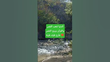 الحمد لله على نعمة القرآن الكريم #إسلام_صبحي #تلاوة_هادئة