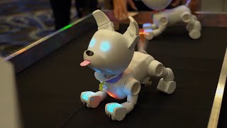 This Dog-E Robo Dog Is Just Like the Real Thing