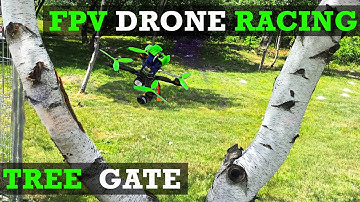 Tree gate - FPV drone racing