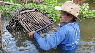 PEGAMOS MUITO PEIXE NA NOSSA PESCARIA COM CURRAL,