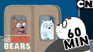 Tres Osos, Una Misión Sobrevivir A La Vida Moderna Escandalosos Cartoon Network