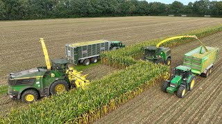 Großes Maishäckseln - Maisernte mit 22 Traktoren, 3 Häcksler, 3 Radlader & Walze farmer corn harvest