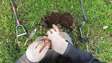 LIVE DIG SILVERS!! XP Deus 2 hits on 2 silver coins in pitch square tones in the trash.