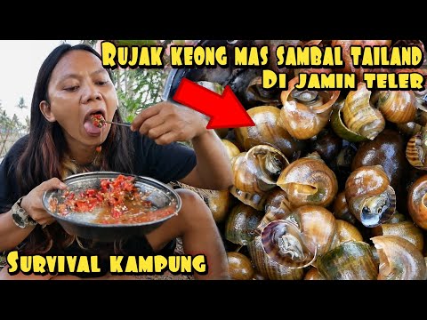 RUJAK KEONG MAS SAMPE MABOK