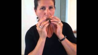 Download Lagu Tamborine Man 1st try 08 2012 Alice MP3