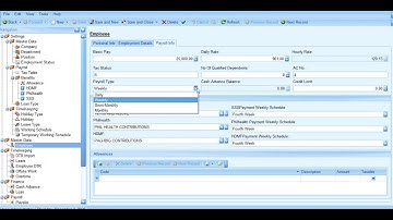 PAYROLL SYSTEM FULL VIDEO DEMO POWERED BY SHEFFREY IT SOLUTIONS