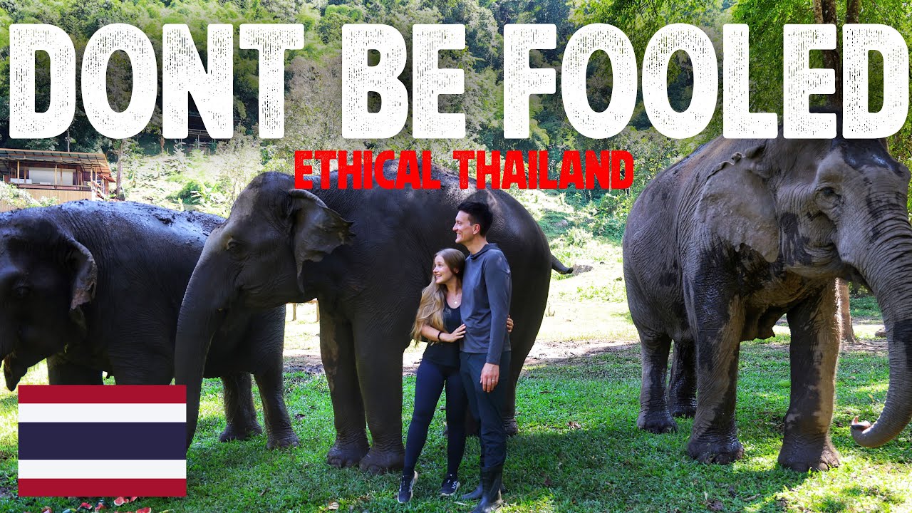 Don’t Visit Elephants In Thailand Until You Watch This - RTW S5 EP8