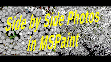 How to Add Two Pictures Together in MSPAINT on Windows 10