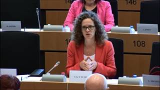Sophie in 't Veld LIBE Committee on Pact on democracy, rule of law and fundamental rights