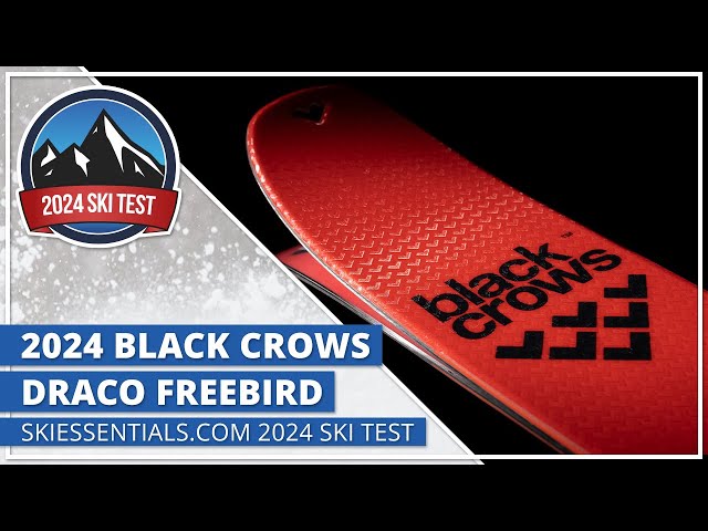 2024 Black Crows Draco Freebird - SkiEssentials.com Ski Test - YouTube