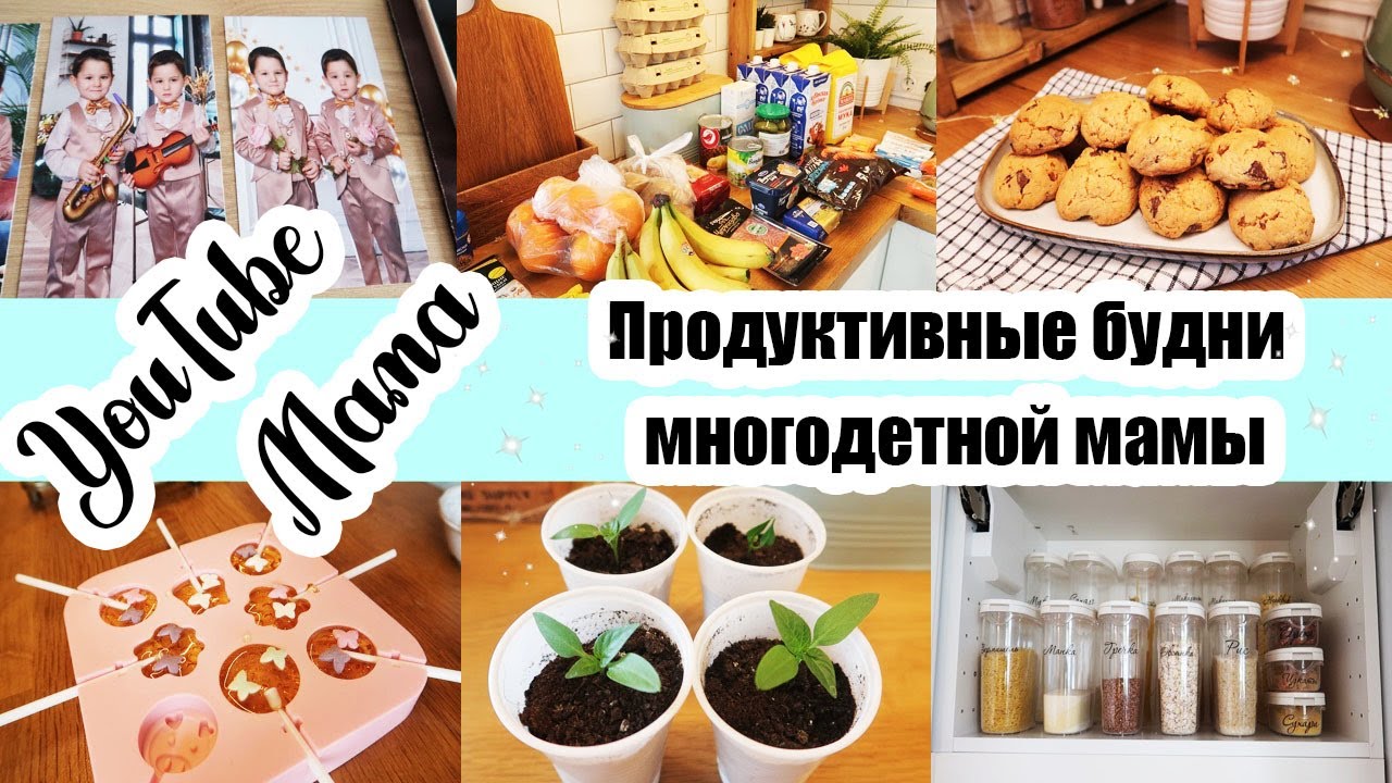 Женихи. Закупка продуктов. Ужасные леденцы. Новый виток ремонта. Печенье с шоколадом