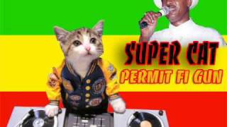 Super Cat - Permit Fi Gun chords