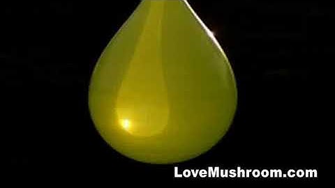 High Speed Camera : Water Balloon Explosions in Super Slow Motion (2008)