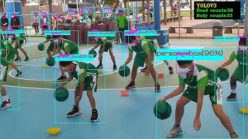 yolov3 model for crowded human detection