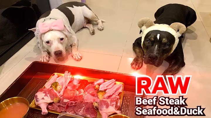 🐶🐶Shopping Day for O&n - NEW Food Tray Celebrated RAW Dinner | EP.68 of 2025 #carnivorediet
