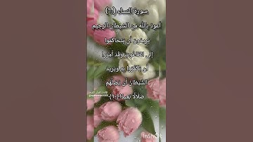 سورة النساء الآية ٦٠ ²