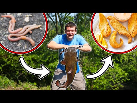 EPIC FOOD CHAIN FISHING CHALLENGE Catch Clean Cook