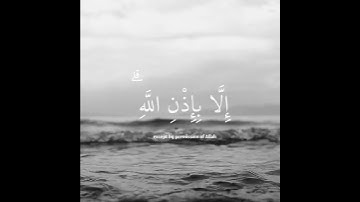 ما أصاب من مصيبة إلا بإذن الله ومن يؤمن بالله يهد قلبه | سورة التغابن | القارئ رعد الكردي