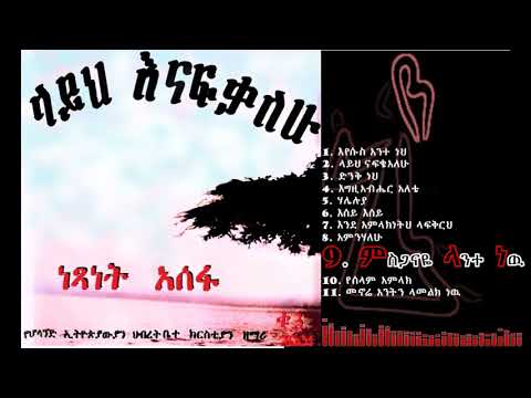 Netsanet Assefa ነፃነት አሰፋ Netsi Vol 3 ላይህ ናፍቄአለሁ ምስጋናዬ ላንተ ነዉ