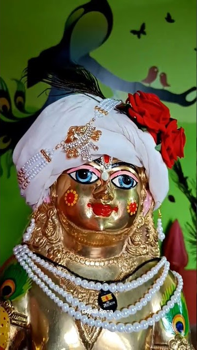 #shorts #Gopal Sonal love status