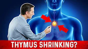 What age does the thymus disappear?