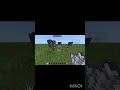 insane bug #minecraft