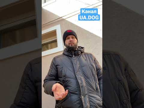 Натуралка с овощами или без? «3/100 вопросов про натуральное питание собак» #натуралка #собаки #barf
