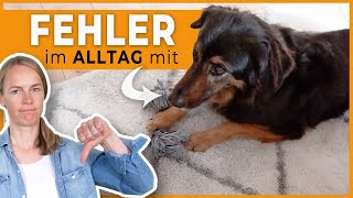 ⚠ Hund macht was er will ? Finde die Fehler im Alltag!