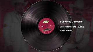 Video thumbnail of "Buscando Consuelo - Los Tucanes De Tijuana [Audio Oficial]"