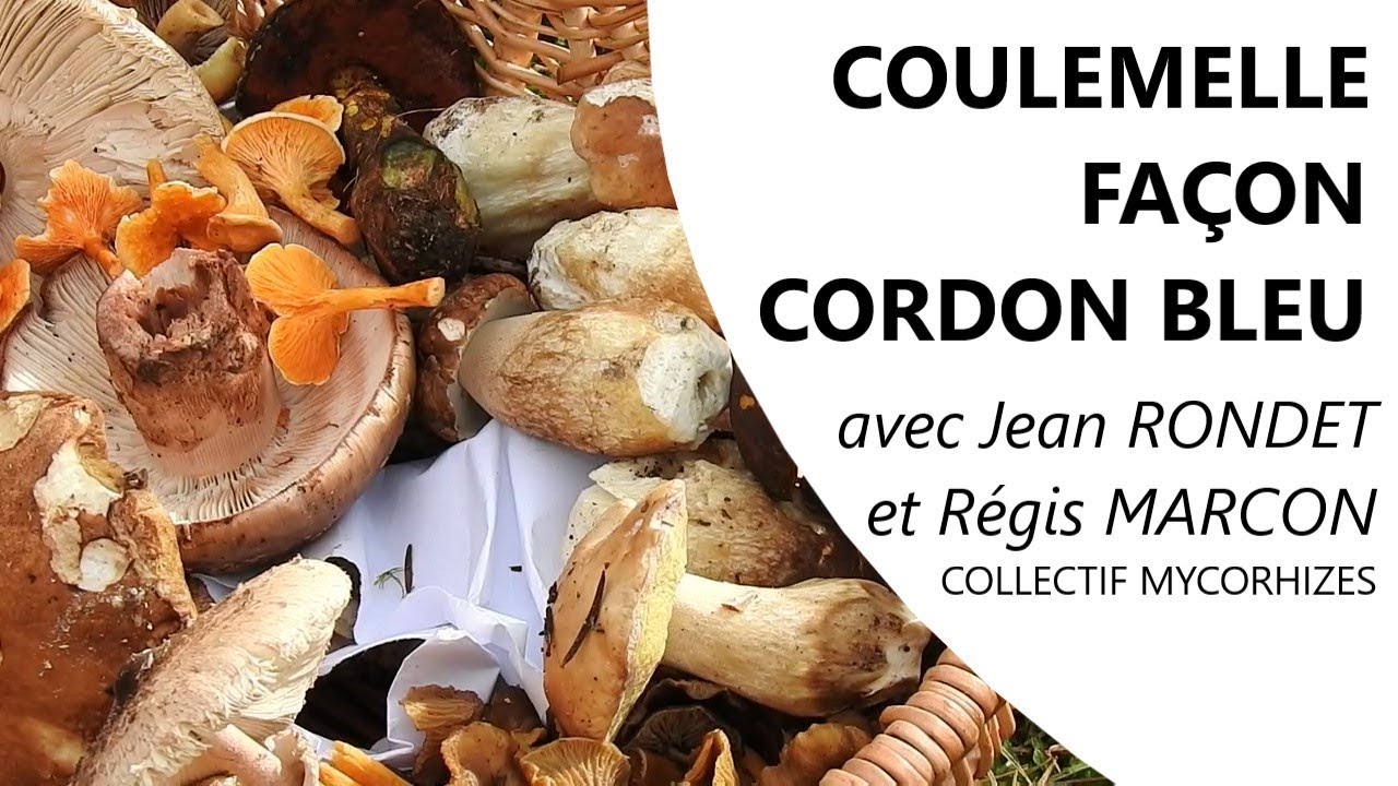 Épisode 6 : Coulemelle façon cordon bleu - Régis MARCON, Jean RONDET & le Collectif Mycorhizes