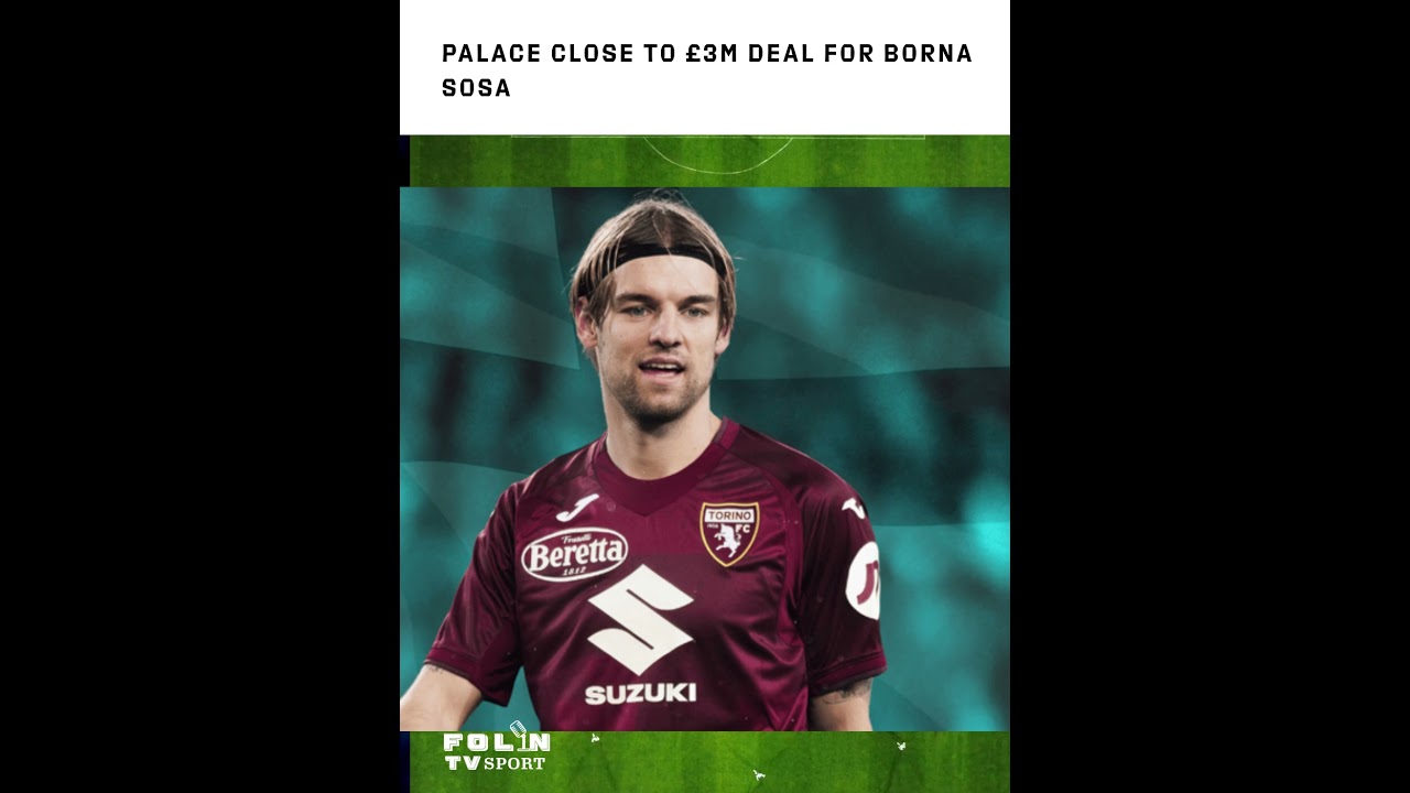 Palace Close to £3m Deal for Borna Sosa