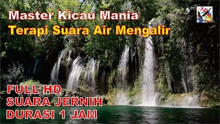 1 Jam TERAPI SUARA AIR MENGALIR, Menjadikan Burung Aktif Bunyi