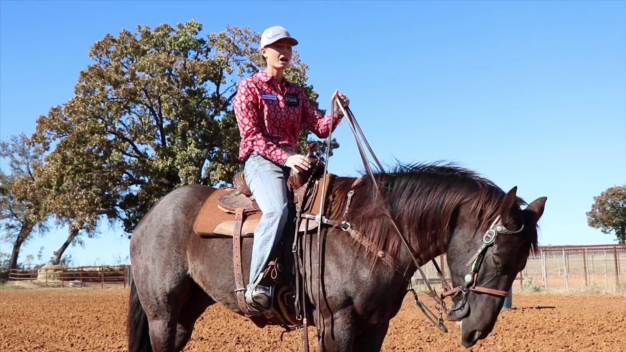 tips on the length of your reins for barrel racing YouTube