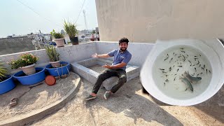 New Fish Ke Liye New Pond Ban Gaye