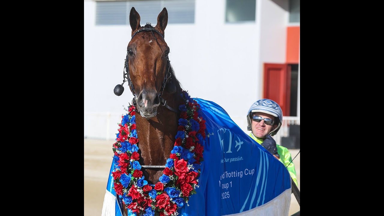 2025 IRT New Zealand Trotting Cup 3200M G1 Addington Raceway New Zealand : Kingman (1:58:0)