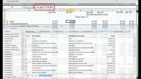 CaseWare Connector: Overview