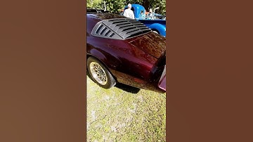 This bird really shines. #firebirds #firebird