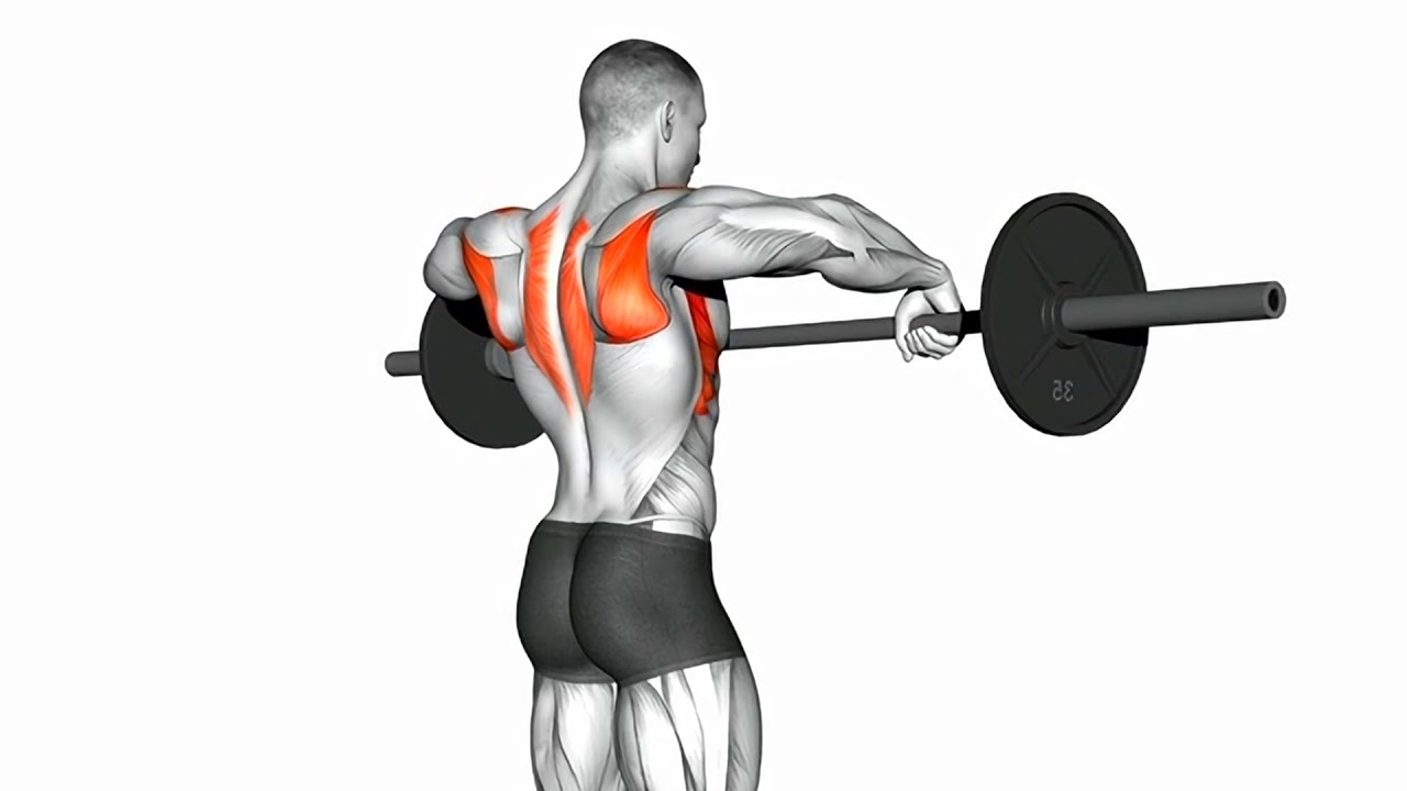 The Best Shoulder Exercises (Barbell Only) YouTube