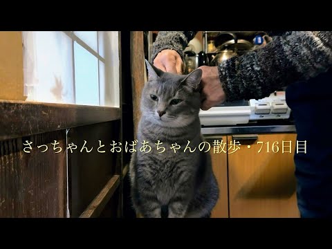 やせねこ様 hqdefault.jpg