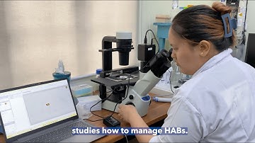 MSI@50 - Harmful Algal Blooms Projects