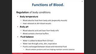 Day 4: Blood Chapter 18 Lecture 1/25/21 Part 1